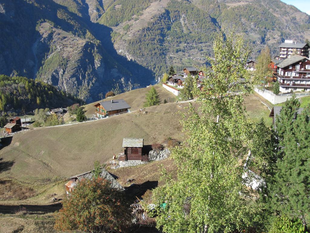 Appartamento Haus Waldheim Grächen Esterno foto